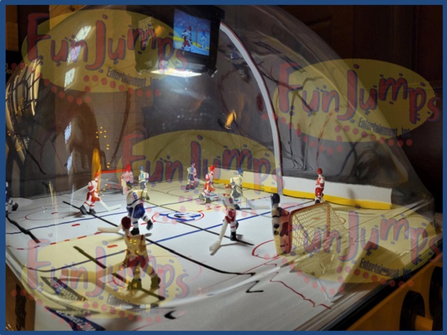 Dome Hockey - 2